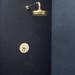 Luxura Thermostatic Shower