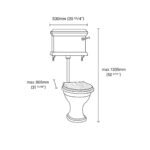 Mykonos Low-Level WC Suite - Image 3